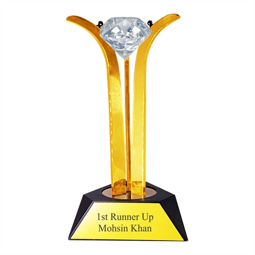 Wood & Metal Trophy WM 9547